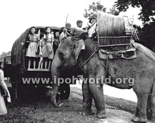 Nellie girl guides elephant ride